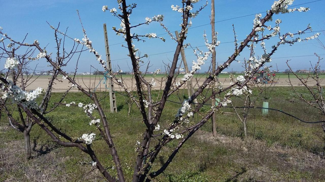 麦比欧Santa Maria Di Lorgana住宿加早餐旅馆 外观 照片